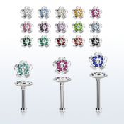 tlb38 labret tragus acero 316l base redonda 2 5mm tragus piercing flor cristal la esta plata distribuidor mayorista