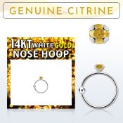 whge6 14kt white gold nose hoop w 2mm prong set citrine stone