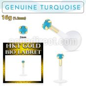 gbige7 bioflex labret 16g 14k threadless push pin turquoise