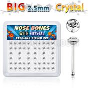 nb19cx box of silver nose bones w big 2 5mm clear crystal tops