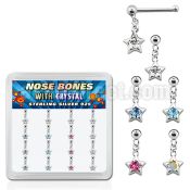 nbds16 box of silver nose bones w ball dangling star crystal