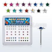 nbsarbxm box of silver nose bones with star w assorted crystal