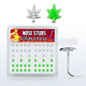 nsma box of silver nose studs with silver green marijuana