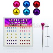 nymtbx2 box w silver bend it nose stud, w 2mm mix color ball top