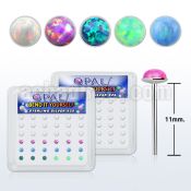 nyo25 box w 36 silver bend it nose studs w 2.5mm opals glued