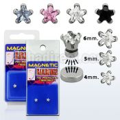 pkmss pair of magnetic 316l steel ear studs with star prong cz