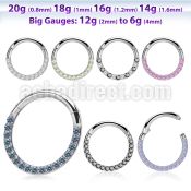 sgsh11 316l steel hinged segment ring cz stones at side
