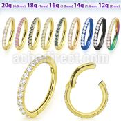 sgtsh10 anodized 316l steel hinged segment ring cz stones