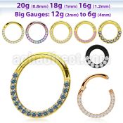 sgtsh11 anodized 316l steel hinged segment ring cz at side