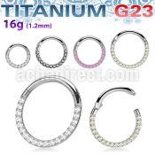 usgsh11 titanium g23 hinged segment ring 16g cz side