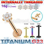 utlbin10 pvd plated titanium labret 16g flower cz internal
