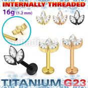 utlbin30 pvd plated titanium labret leaf marquise internal
