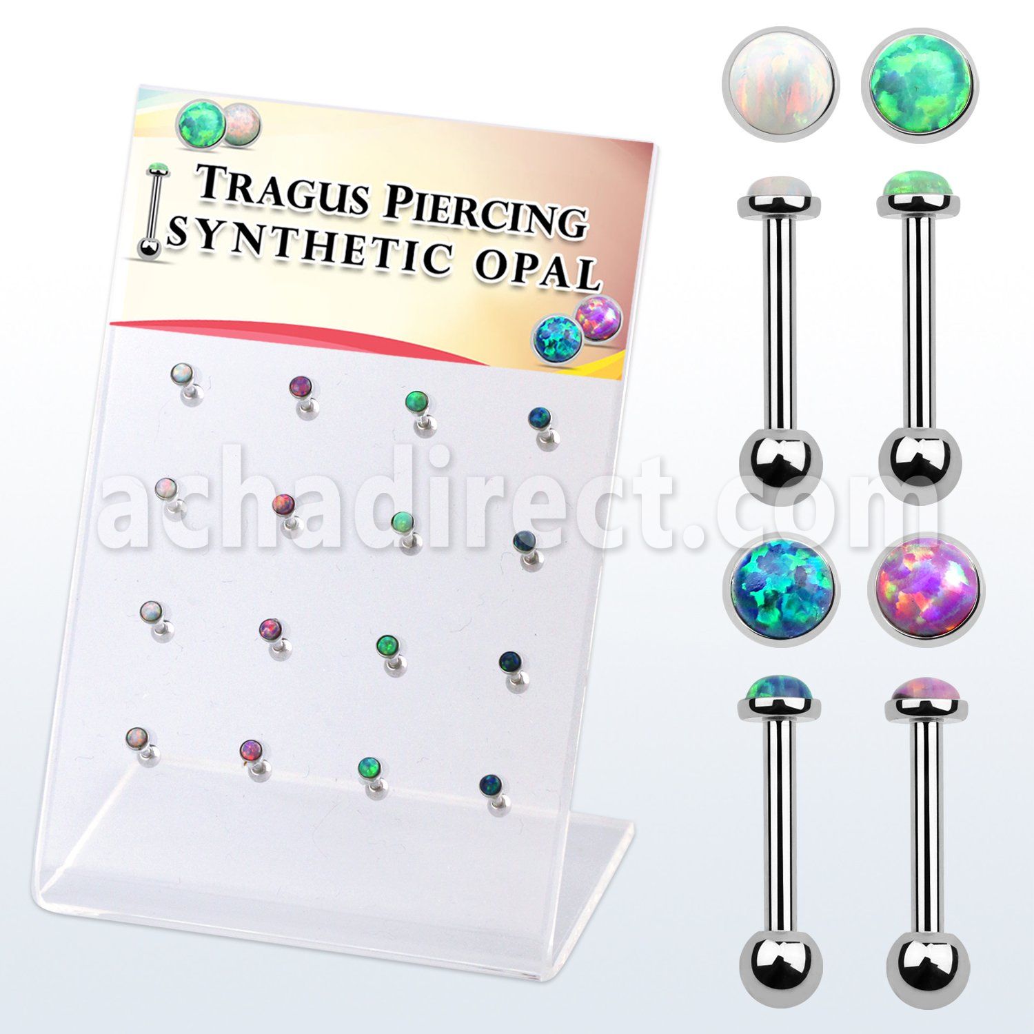 dacb223 display w steel tragus barbells w with a synthetic top